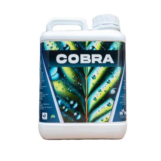 COBRA (5L)